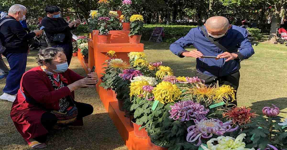 China , Chinese population , life expectancy in China , life expectancy